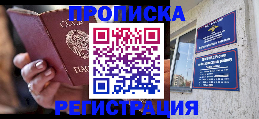 прописка гарантия в Малой Вишере